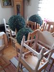 Boxbom bollar plast