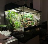 Terrarium - Exo Terra 60x45x45