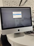 IMac Dator