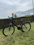 Herrcykel nyservad