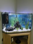 akvarium hörnakvarium med möbel ink allt.