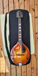 Oktavmandolin Eastman MDO605