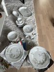 Servis Rosenthal Björnbär