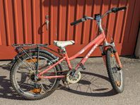 Trek MT60 20"