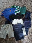 Paket Tommy Hilfiger, Lacoste, Ralph Lauren, Gant, Adidas