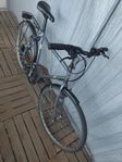 DBS Cruiser 