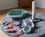 Tillbehör/Startpaket katt