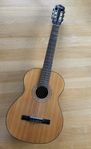 Aukustisk gitarr -Steiner