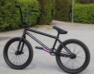 Wethepeople Reason 2021 Freecoaster