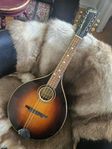 Levin 345 mandolin