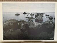 5 stora tavlor från IKEA