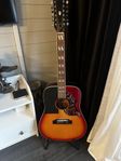 12 strängad Ibanez