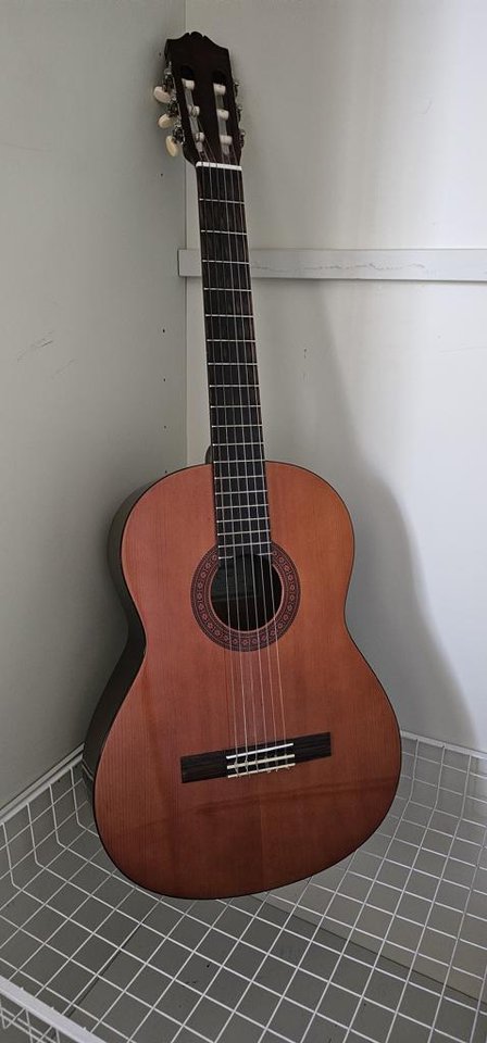 Akustisk gitarr Yamaha 