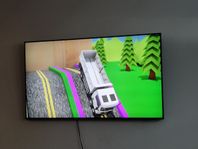 Samsung Qled 2021