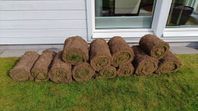 Färdigrullat gräs