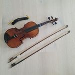 Violin