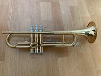 Trumpet för nybörjare