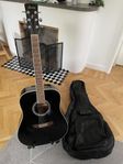 Ibanez stålsträngad