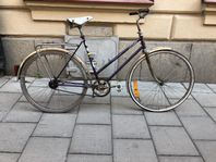 Lila 2 Växlad Världsmästarcykeln