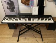 Alesis Recital - Nyskick