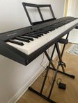 Roland Go:Piano 88 key, digitalt piano 