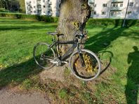 NISHIKI PRO SL