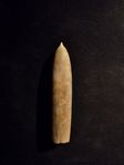 Belemnit 100mm