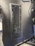 Gamingtangentbord Razer Cynosa v2
