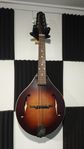 Mandolin The loar LM-110