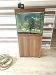 akvarium med alla tillbehör och fiskar 