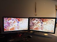 Gaming monitors