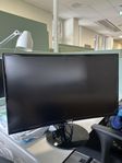 Samsung Monitor