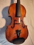 1/4 viol