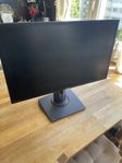 Bildskärm ASUS MG248Q 144hz 1ms
