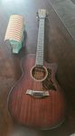 Taylor’s American Dream- Western akustisk gitarr