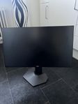Dell S2522HG 240hz Gaming skärm