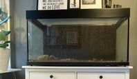 Akvarium Vivarium Terrarium