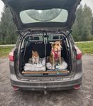 ArtFex dubbelbur (uttagbar mellanvägg)