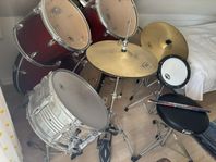 Peavey trumset Junior