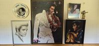 Elvis Presley-samling söker ett nytt hem