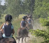 Ponnytur i skogen för barn