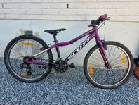 Mountainbike 