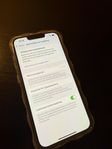 iPhone 13 PRO 256 GB BRA SKICK!