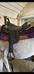 Big horn arabian light western