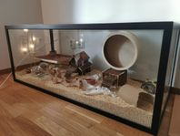 Akvarium/ Terrarium 