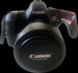 Canon EOS 6D + EF 28–135mm IS 