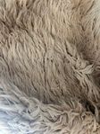 Layered SHAGGY dusty punk 