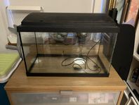 Terrarium med belysning 