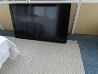 Defekt TV
