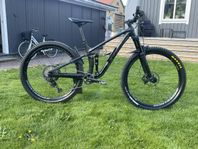 Trek fuel EX 8